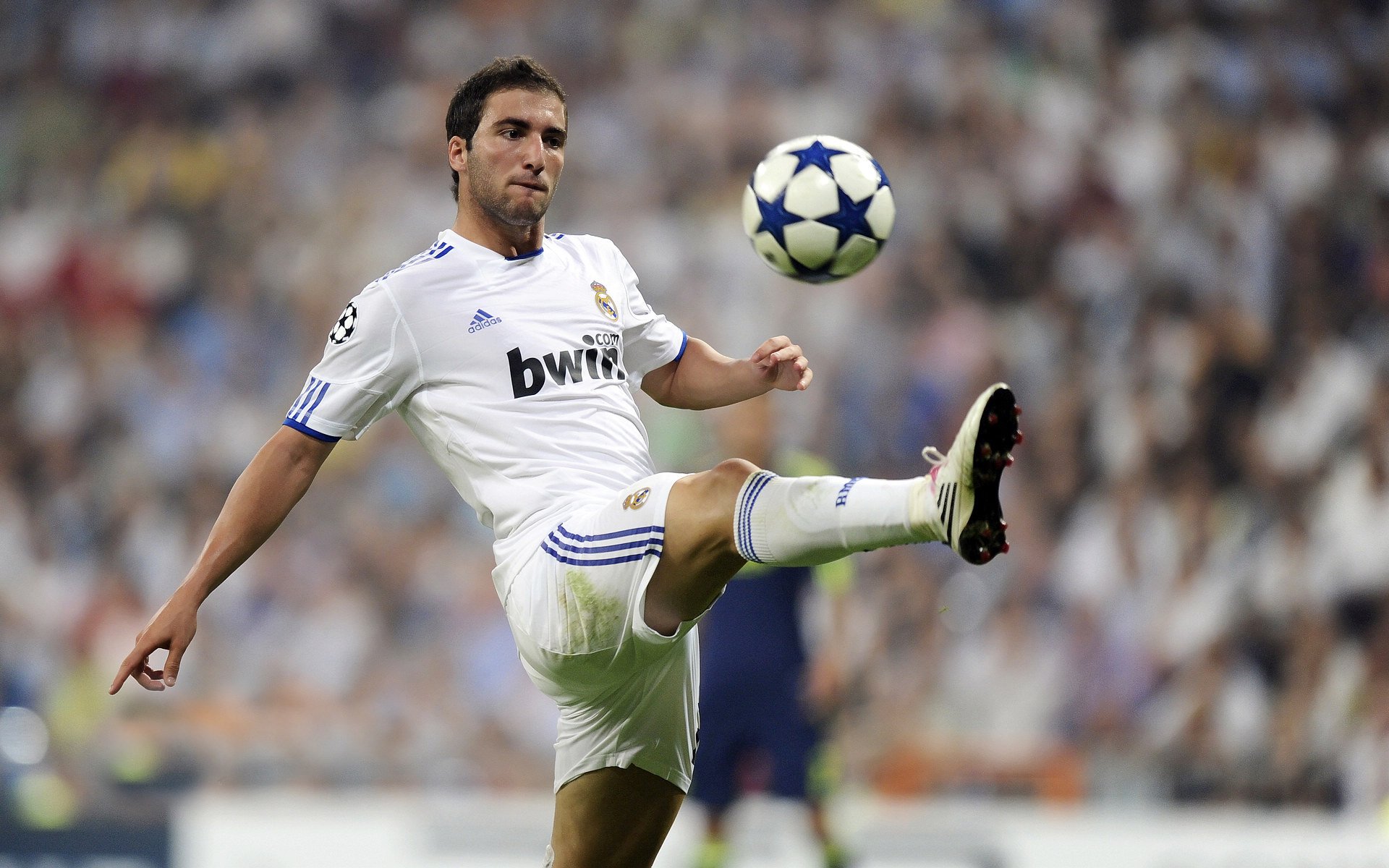 九游网页版官网入口-皮特·斯图斯：南非队的防守之魂，展现完美球技